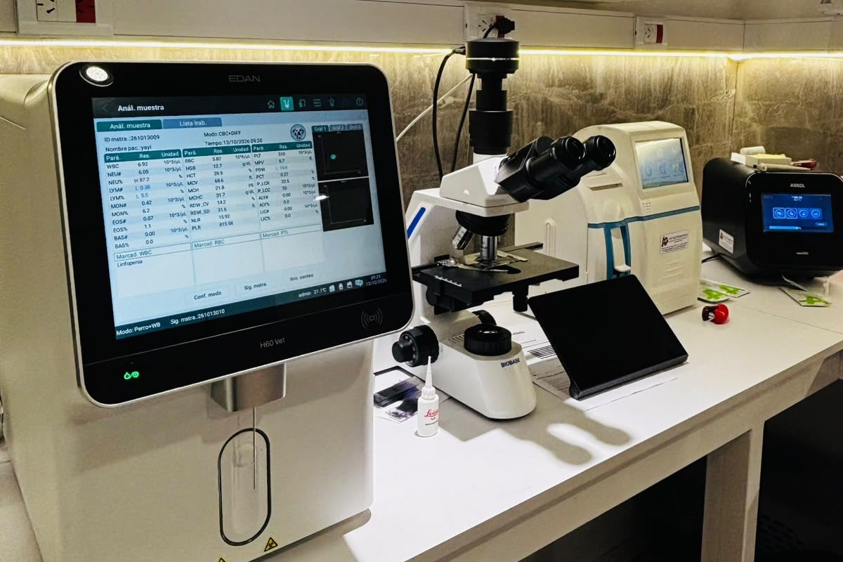Analizador hematológico veterinario nuevo junto al microscopio con cámara, sobre la mesada del laboratorio.