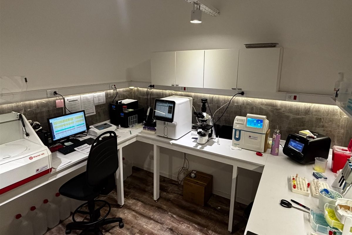 Vista general del laboratorio: mesadas en L con los analizadores, el microscopio y el puesto de trabajo.
