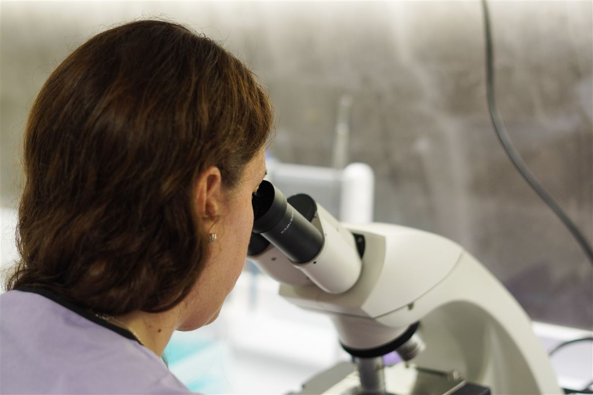 Una profesional observa por el microscopio.